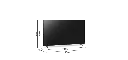 7.webp
