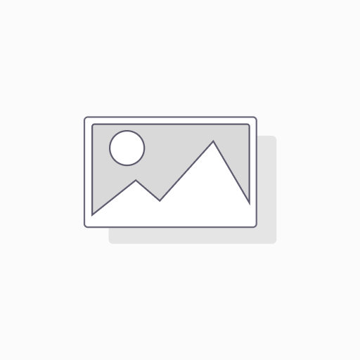 جاروبرقی اسنوا سری رویال مدل SVC RL24